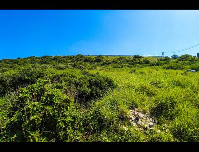 LAND FOR SALE IN DIAZ INDUSTRIA